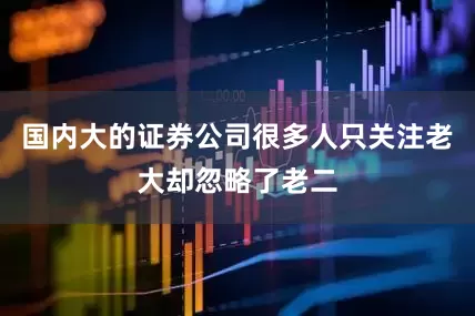 国内大的证券公司很多人只关注老大却忽略了老二