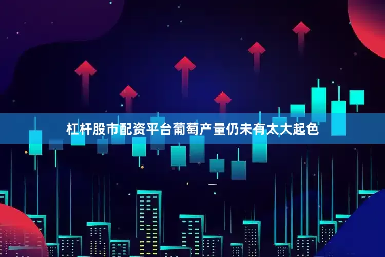 杠杆股市配资平台葡萄产量仍未有太大起色